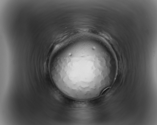 X0000086780377200704201829