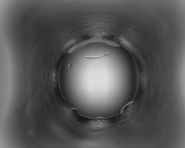 X0000086780378200704201829