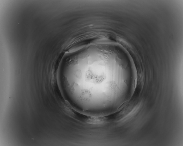 X0000086780381200704201829