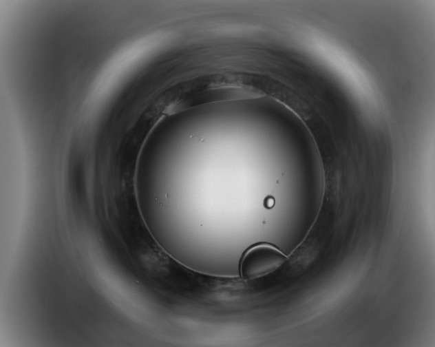 X0000086780382200704201829