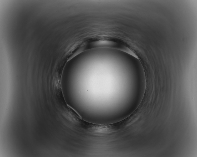 X0000086780384200704201829