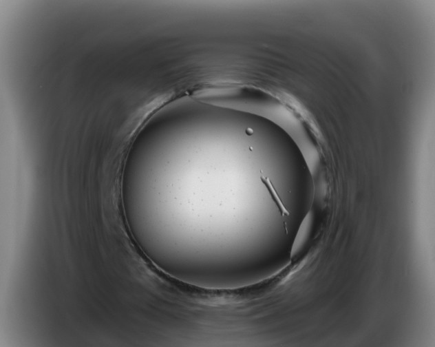 X0000086780385200704201828