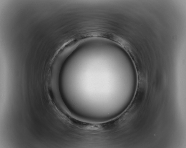 X0000086780386200704201828