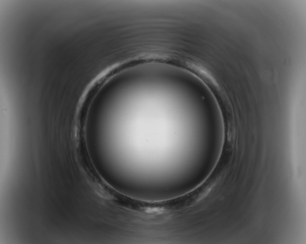 X0000086780388200704201828