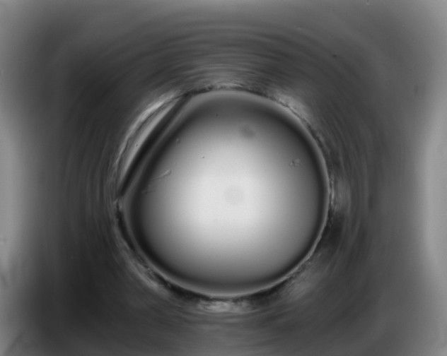 X0000086780390200704201828