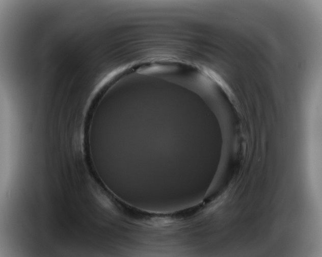 X0000086780391200704201828