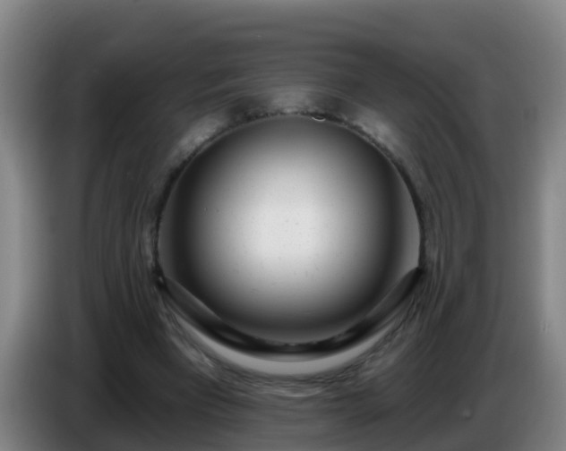 X0000086780393200704201828