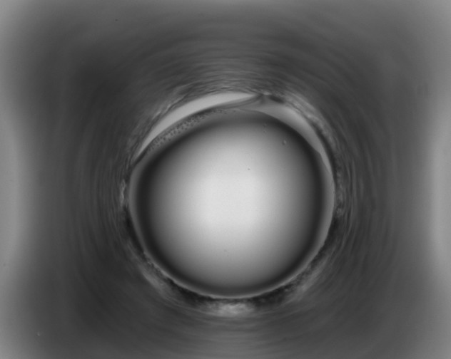 X0000086780401200704201828