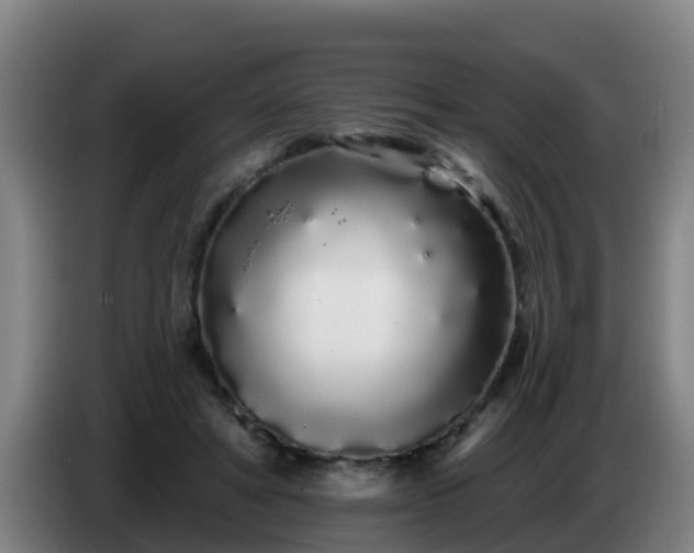 X0000086780402200704201828