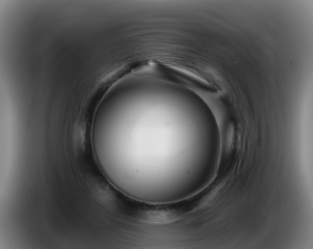 X0000086780404200704201828