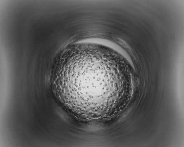 X0000086780405200704201828