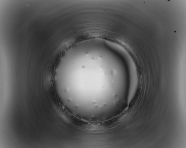 X0000086780406200704201828