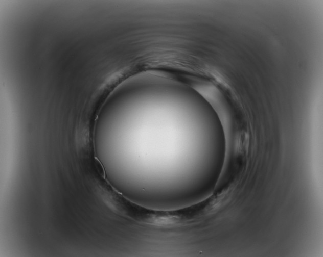 X0000086780407200704201828