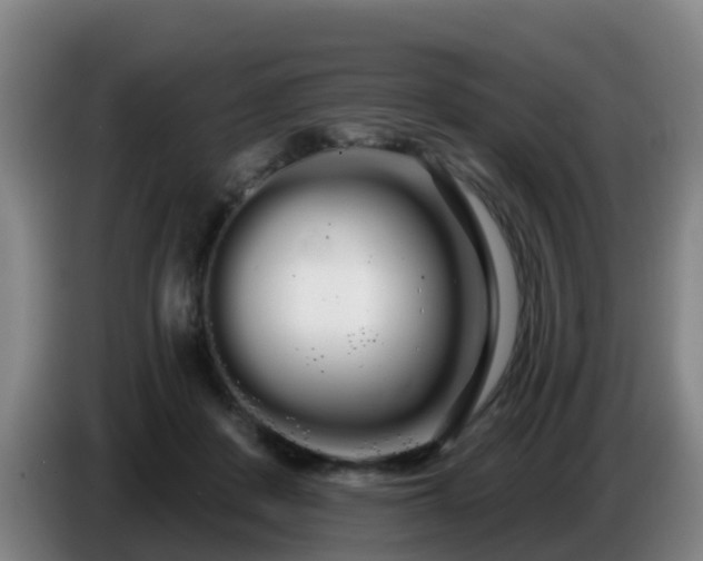 X0000086780408200704201828