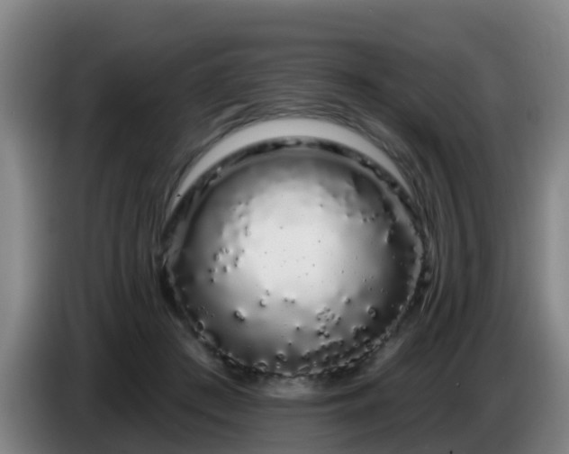 X0000086780409200704201828