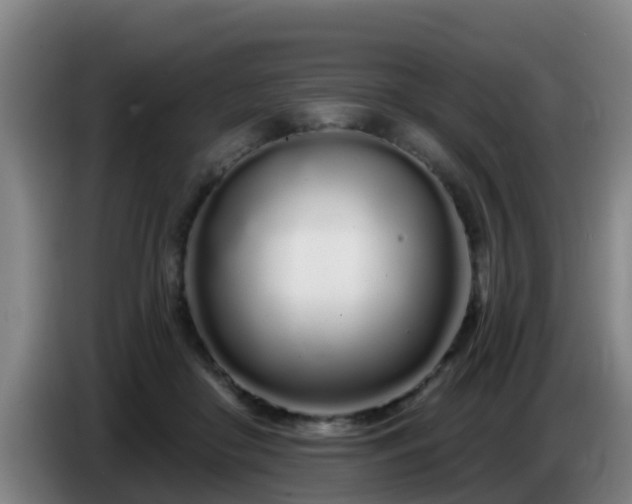 X0000086780410200704201828