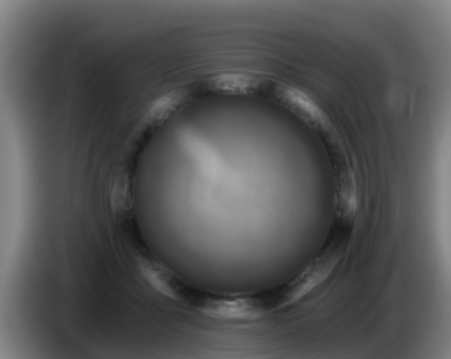 X0000086780411200704201828