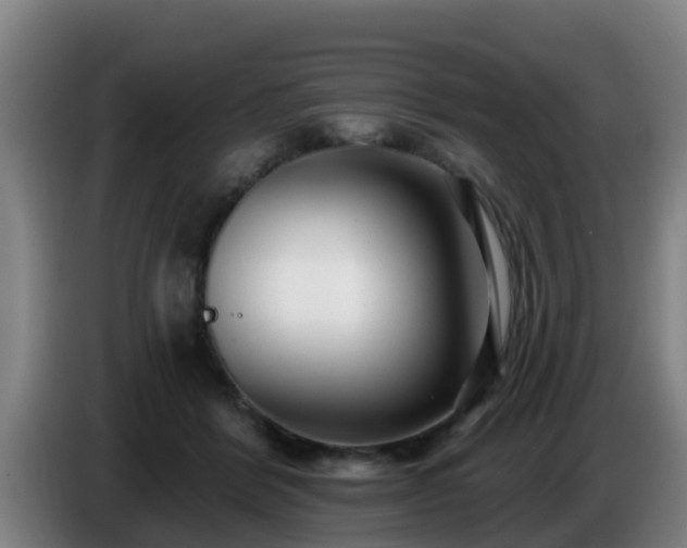 X0000086780412200704201828