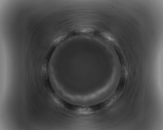 X0000086780415200704201828