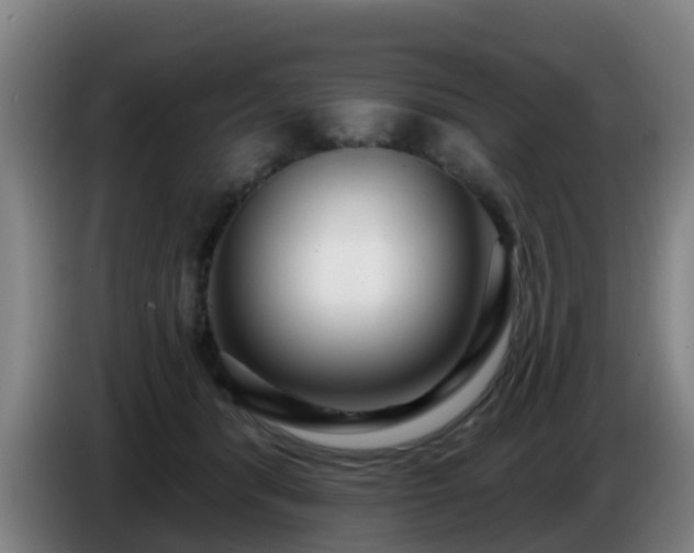 X0000086780416200704201828