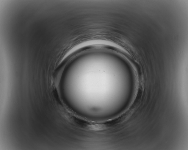 X0000086780417200704201828