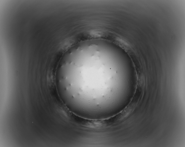 X0000086780418200704201828