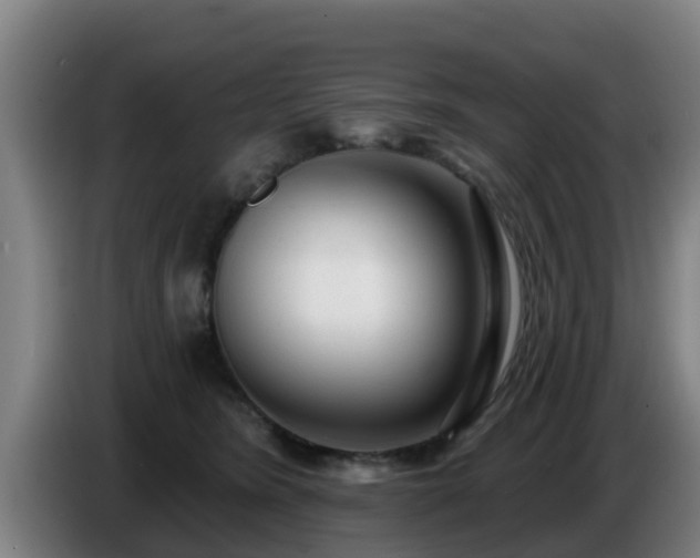 X0000086780420200704201828