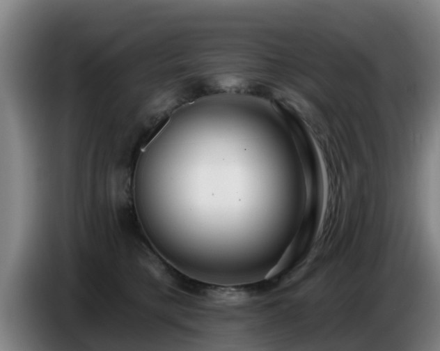 X0000086780421200704201828