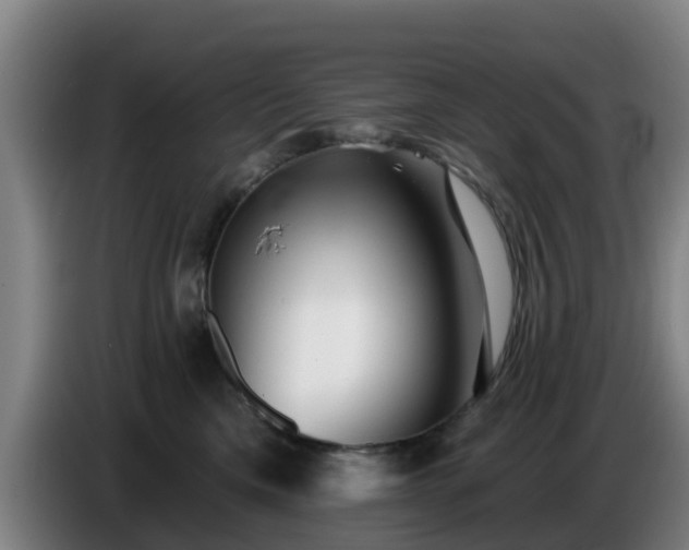 X0000086780425200704201828