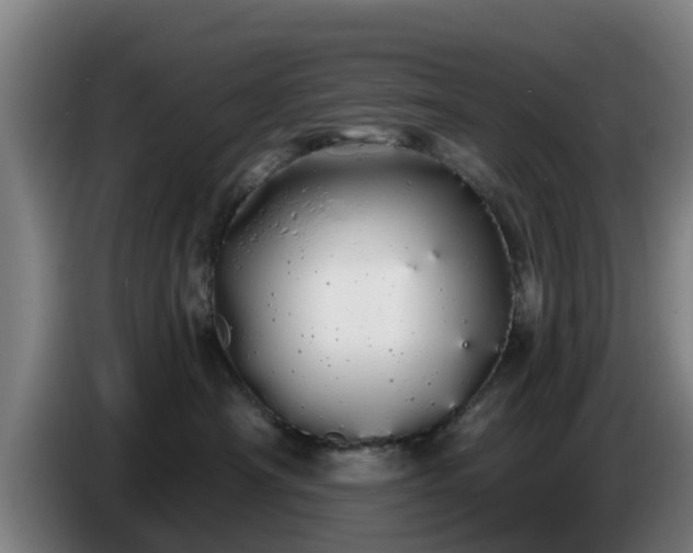 X0000086780430200704201828