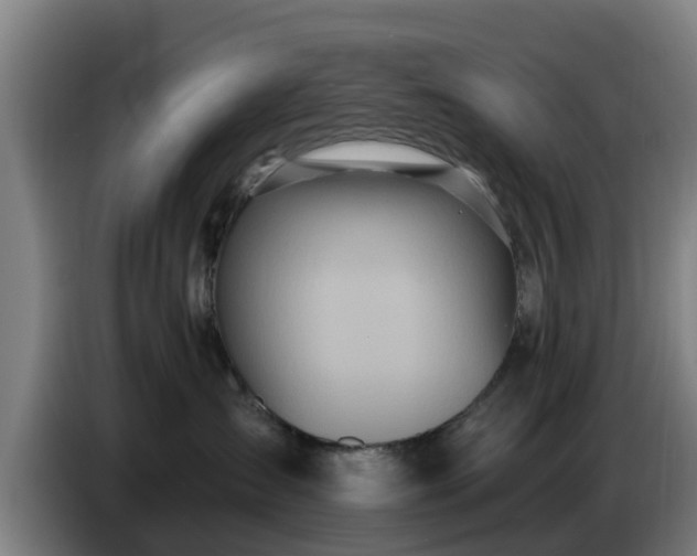 X0000086780431200704201828