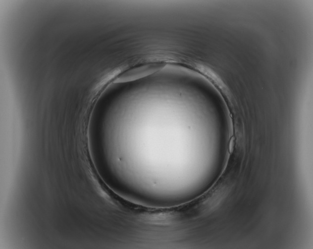 X0000086780433200704201827