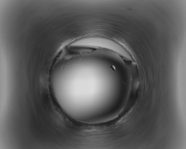 X0000086780434200704201827