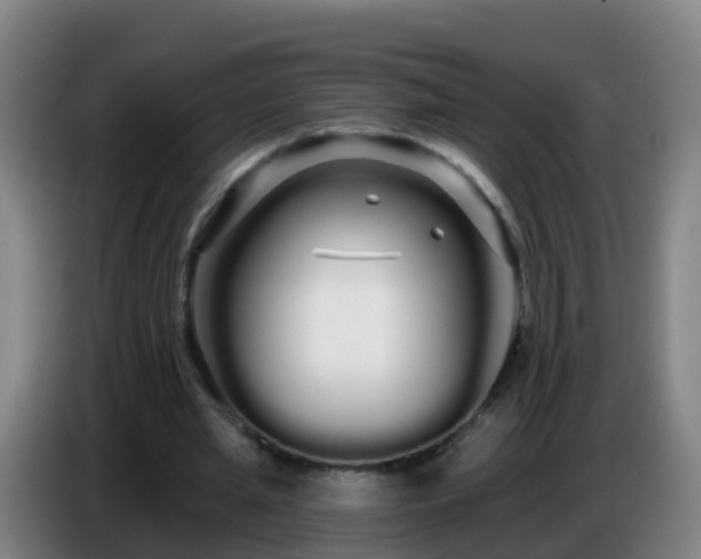 X0000086780437200704201827