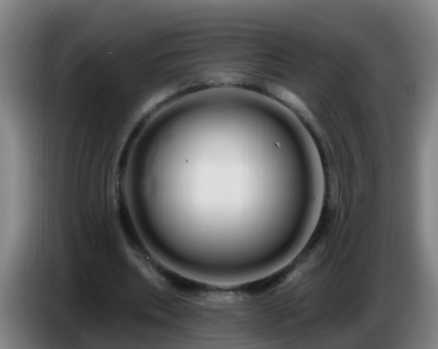 X0000086780439200704201827