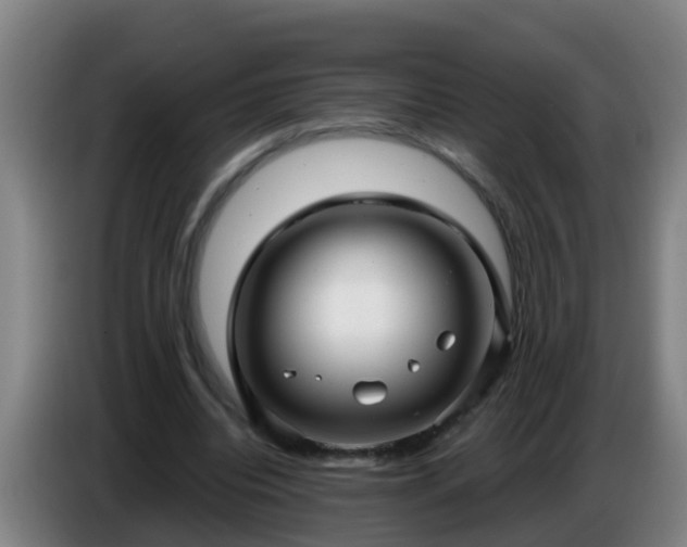 X0000086780440200704201827