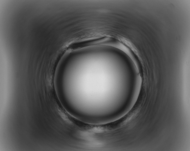 X0000086780441200704201827