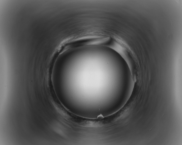 X0000086780442200704201827