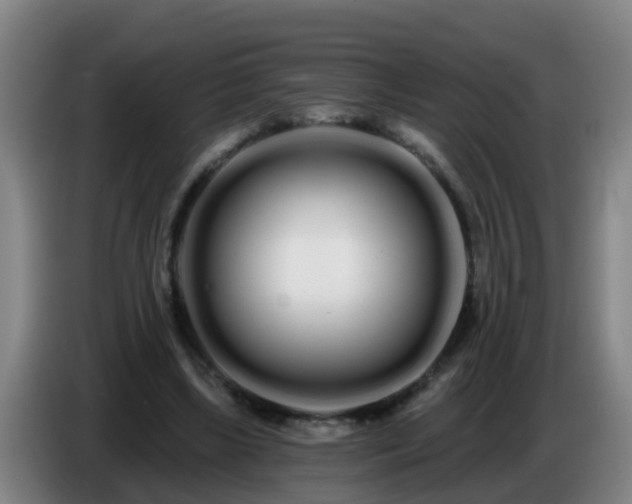 X0000086780443200704201827