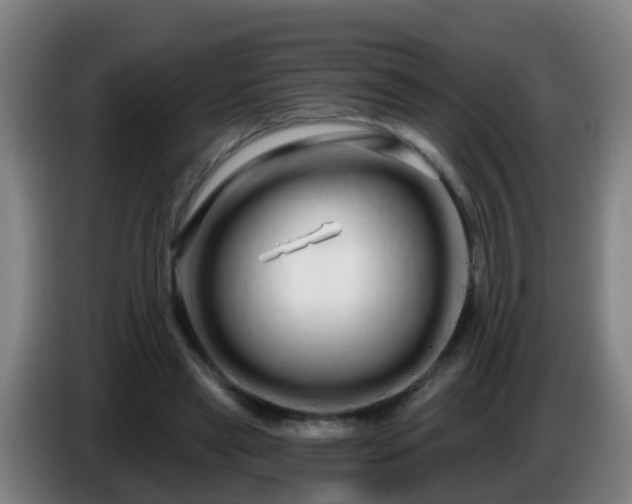 X0000086780445200704201827