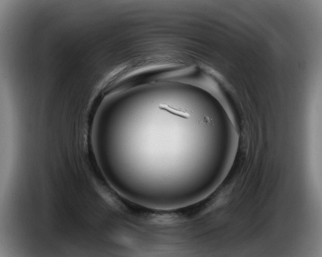 X0000086780446200704201827