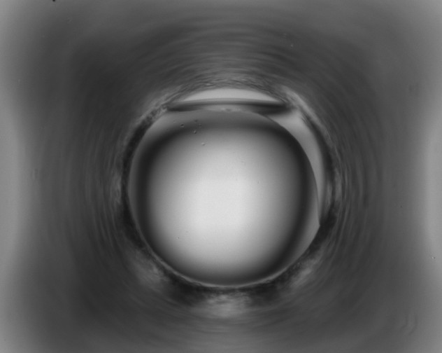 X0000086780447200704201827