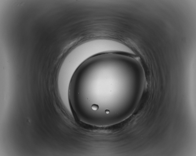 X0000086780448200704201827