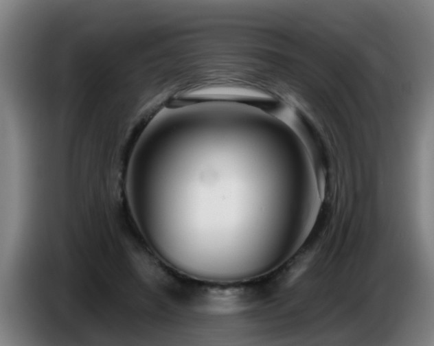 X0000086780450200704201827