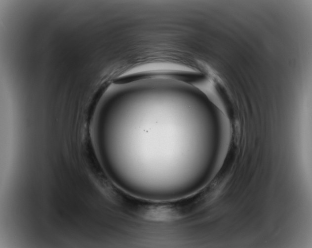 X0000086780451200704201827