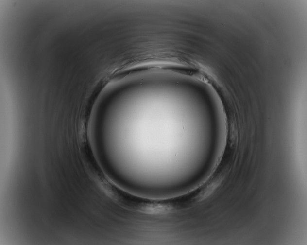 X0000086780453200704201827