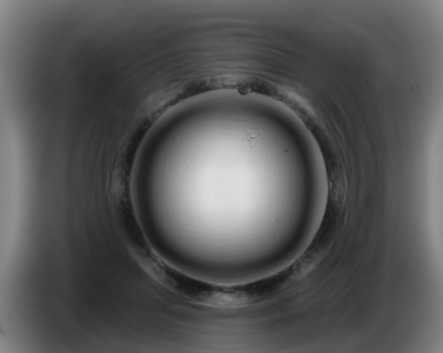 X0000086780455200704201827