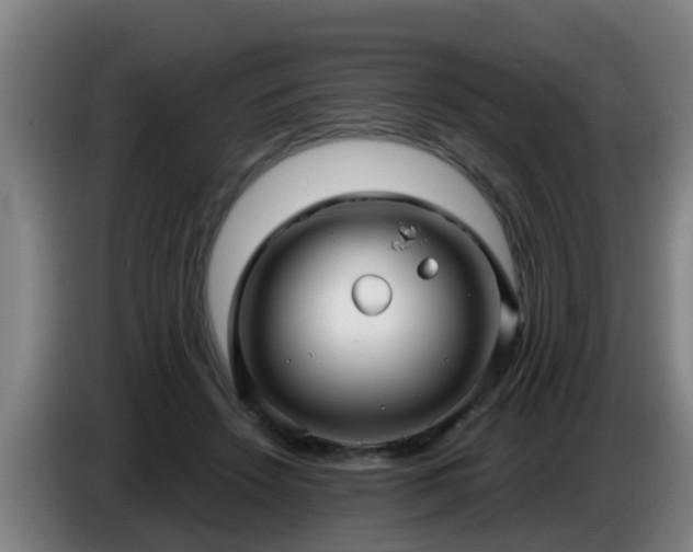 X0000086780456200704201827