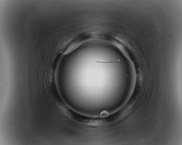 X0000086780458200704201827