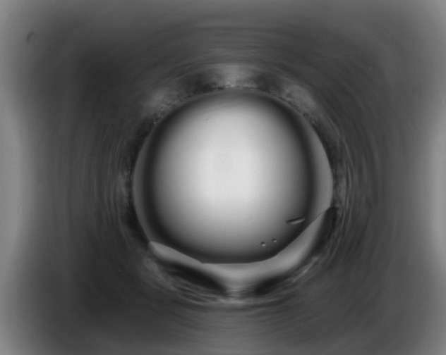 X0000086780461200704201827